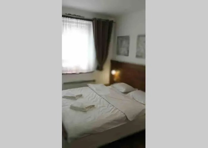 Belvedere Club Vip H 82 * Warna