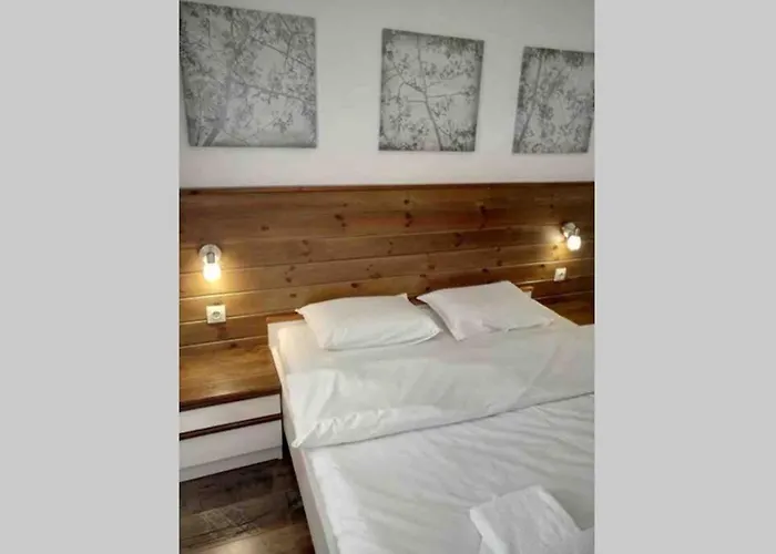 Belvedere Club Vip H 82