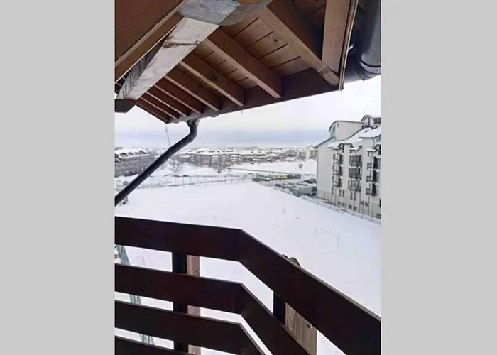 Belvedere Club Vip H 82 Warna