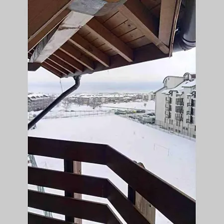 Belvedere Club Vip H 82 Varna